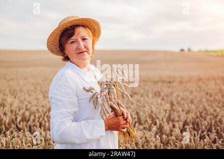 Lächelnde ältere Frau hält Weizenbündel im Sommerfeld bei Sonnenuntergang. Ernte in der Ukraine. Landwirtschaft und Landwirtschaft. Ukrainisches Symbol Stockfoto
