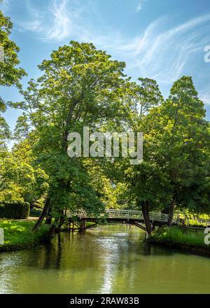 Alte Holzbrücke über den Fluss mit blauem Himmel. Stockfoto