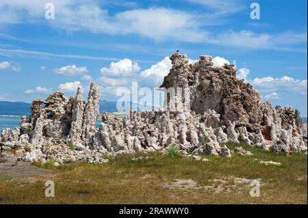 Tufas und rückläufiges Wasser mit den Bergen der Sierra Nevada im Hintergrund am Mono Lake, Kalifornien, USA Stockfoto