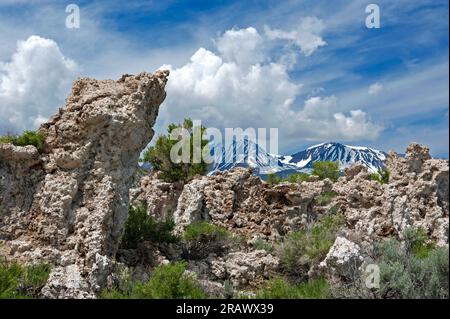 Tufa mit schneebedeckten Berggipfeln der Sierra Nevada im Hintergrund am Mono Lake, Kalifornien Stockfoto