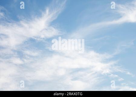 Himmelsersatz von cirrocumuluswolken am späten Nachmittag sichtbar vor blauem Himmel. Stockfoto