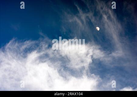 Dramatischer Himmelsersatz mit weichen weißen Wolken vor einem dunkelblauen Himmel mit einem Halbmond sichtbar. Stockfoto