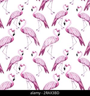 Flamingo-Muster. Wasserfarbenes tropisches Muster von Flamingos auf weißem Hintergrund. Muster für das Design von Verpackungen, Karten, Einladungen, Fabr Stockfoto