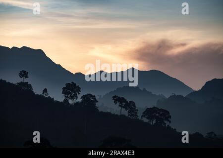 Atemberaubender Blick auf die wilde Natur auf eine Schicht Bergwaldlandschaft mit bewölktem Himmel. Naturreisen im Freien. Stockfoto