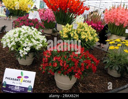 BBC Gardens Birmingham UK 2023, Stockfoto