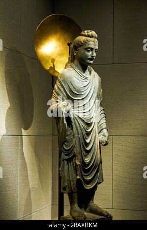 Statuen buddhistischer Buddhas aus verschiedenen Ländern und Epochen, die vom Kloster Tsz Shan in Hongkong gesammelt wurden Stockfoto