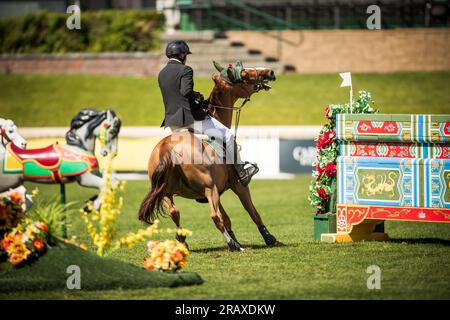 Rupert Carl Winkelmann aus Deutschland nimmt am 2. Juli 2023 am Rolex Pan American Grand Prix in Spruce Meadows in Calgary, Alberta, Teil. Stockfoto