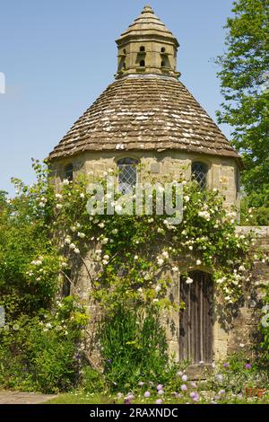 Altes Steingebäude mit Taubenschlag auf dem Dach. In einem englischen Landgarten. Mit weißen Rosen, die um ihn wachsen. Stockfoto