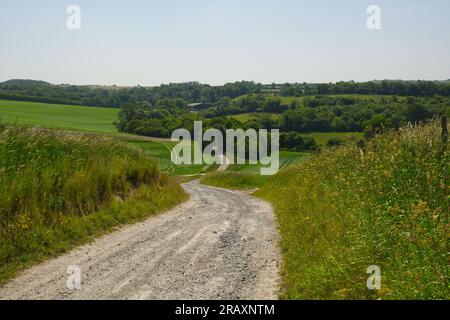 Raue Strecke durch die Landschaft der South Downs bei Worthing in West Sussex, England Stockfoto