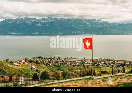 Herrliche Sommerlandschaft mit Lavaux Weinbergen, schweizer riviera, Lausanne Gegend, Kanton Vaud, Schweiz Stockfoto