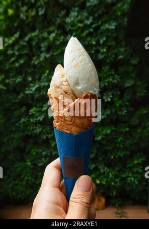 Waffeleis aus Ahornholz auf den Händen mit grünem Blatthintergrund Stockfoto