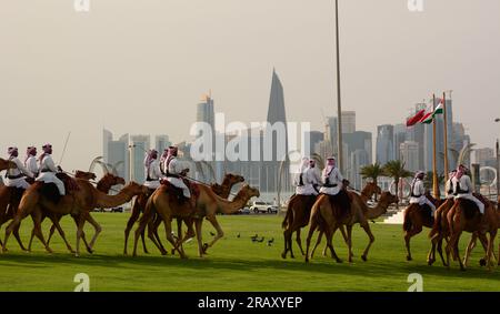 Kamele und Reiter vor der Corniche. Doha. Katar Stockfoto