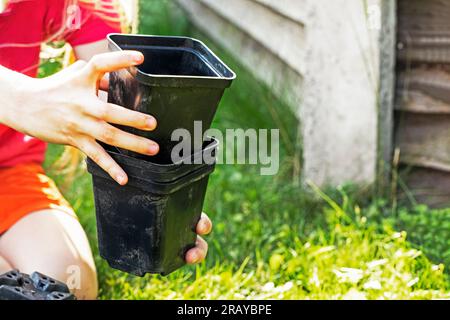 Die Hände der Mädchen stapeln leere Plastikbehälter für Blumen, nachdem sie Pflanzen gepflanzt haben. Kümmern Sie sich um den Garten Stockfoto