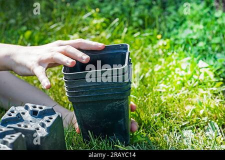 Die Hände der Mädchen stapeln leere Plastikbehälter für Blumen, nachdem sie Pflanzen auf einem grünen Rasen gepflanzt haben. Kümmern Sie sich um den Garten Stockfoto