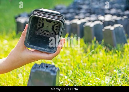 Die Hände von Mädchen stapeln leere Plastikbehälter für Blumen und Setzlinge. Kümmern Sie sich um den Garten Stockfoto