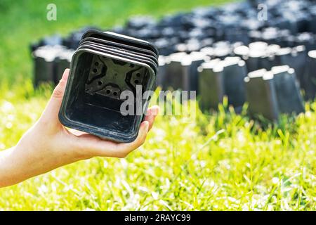 Die Hände von Mädchen halten leere Plastikbehälter mit Löchern im Boden für Blumen und Setzlinge. Richtiges Pflanzen von Pflanzen und Bäumen Stockfoto