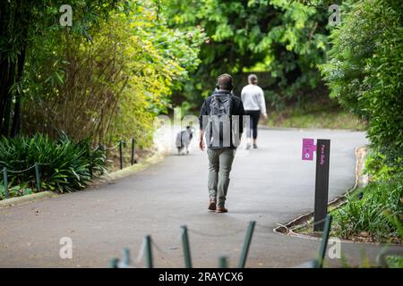 Ein Paar, das in einem Garten spaziert. Mann und Frau gehen in der Natur unter Bäumen, umgeben von Pflanzen. Familie zusammen in einem Park in Stockfoto