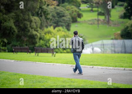 Ein Paar, das in einem Garten spaziert. Mann und Frau gehen in der Natur unter Bäumen, umgeben von Pflanzen. Familie zusammen in einem Park in Stockfoto