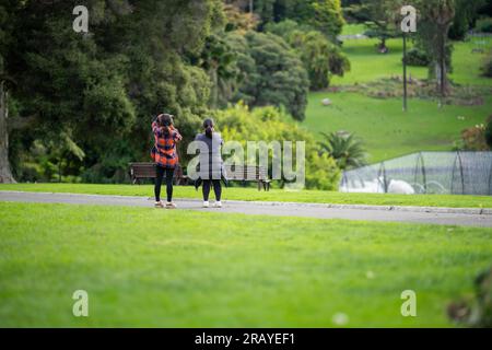 Ein Paar, das in einem Garten spaziert. Mann und Frau gehen in der Natur unter Bäumen, umgeben von Pflanzen. Familie zusammen in einem Park in Stockfoto