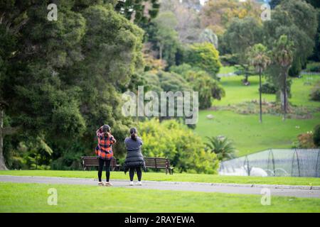 Ein Paar, das in einem Garten spaziert. Mann und Frau gehen in der Natur unter Bäumen, umgeben von Pflanzen. Familie zusammen in einem Park in Stockfoto