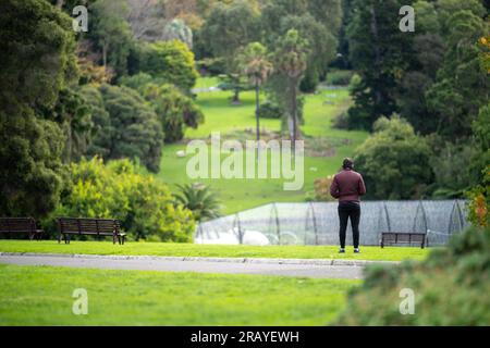 Ein Paar, das in einem Garten spaziert. Mann und Frau gehen in der Natur unter Bäumen, umgeben von Pflanzen. Familie zusammen in einem Park in Stockfoto