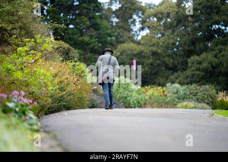 Ein Paar, das in einem Garten spaziert. Mann und Frau gehen in der Natur unter Bäumen, umgeben von Pflanzen. Familie zusammen in einem Park in Stockfoto