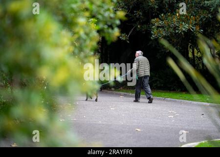 Ein Paar, das in einem Garten spaziert. Mann und Frau gehen in der Natur unter Bäumen, umgeben von Pflanzen. Familie zusammen in einem Park in Stockfoto