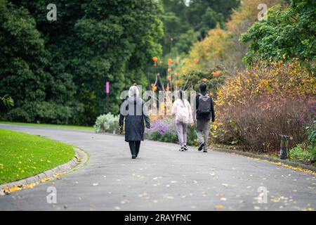 Ein Paar, das in einem Garten spaziert. Mann und Frau gehen in der Natur unter Bäumen, umgeben von Pflanzen. Familie zusammen in einem Park in Stockfoto