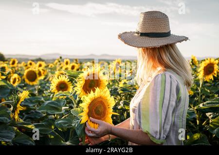 Eine Frau, die ein Sonnenkleid und einen Strohhut trägt und auf dem Sonnenblumenfeld steht. Heißes Wetter am Sommertag auf dem Land Stockfoto
