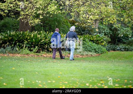 Ein Paar, das in einem Garten spaziert. Mann und Frau gehen in der Natur unter Bäumen, umgeben von Pflanzen. Familie zusammen in einem Park in Stockfoto
