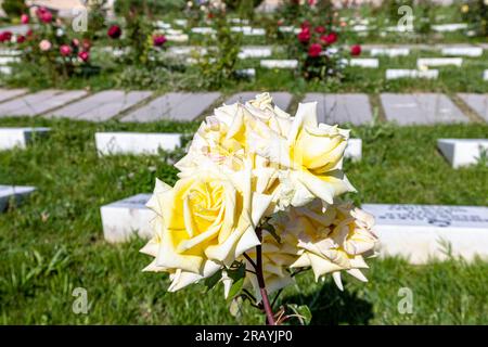 Afyon, Dumlupınar, Türkiye 30 Haziran 2023; Siegesdenkmäler und Friedhof in Dumlupinar. Die Schlacht von Dumlupinar war die letzte Schlacht im griechisch-türkischen Raum Stockfoto