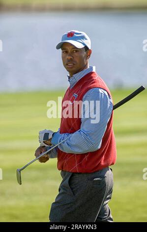 Golfer des US-Teams Tiger Woods beim Ryder Cup 2010 im Celtic Manor in Newport, Großbritannien. Anmerkung: Nur zur redaktionellen Verwendung Stockfoto