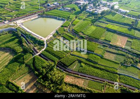 Anyang, China. 05. Juli 2023. Der Yuejin-Kanal fließt am 4. Juli durch das Ackerland des Dorfes Gujing in der Stadt Duli, Anyang, Provinz Henan, China. 2023. Seit 1977 hat es mehr als 3 Milliarden Kubikmeter Wasser umgeleitet, eine Fläche von 12 Millionen Mu pro Zeit bewässert und die Getreideproduktion um 300 Millionen Kilogramm gesteigert. (Foto: Costfoto/NurPhoto) Guthaben: NurPhoto SRL/Alamy Live News Stockfoto