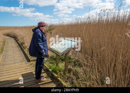 Besucher lesen Informationstafel neben dem Fußweg im Cley Marshes Naturschutzgebiet des Norfolk Wildlife Trust an der Küste von North Norfolk. Stockfoto