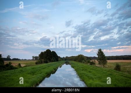 Ein langsam fließender breiter Fluss zwischen üppigen grünen Gräsern und landwirtschaftlichen Feldern. Stockfoto