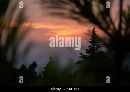 Goldene Stunde im Himalaya: Die Sonne geht unter und wirft den orangefarbenen Himmel. Kiefernsilhouetten schmücken die landschaftliche Schönheit von Uttarakhand. Indien Stockfoto