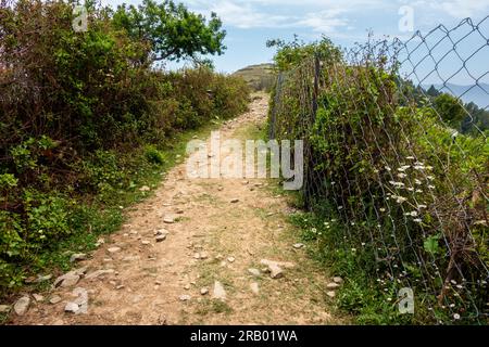 Eine schmale unbefestigte Straße oder Fußstraße entlang eines Zauns in der ländlichen Bergregion von Uttarakhand. Landwirtschaft und Landwirtschaft im Himalaya-Raum. Stockfoto