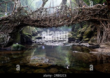 Einheimische Touristen erkunden die spektakuläre lebende Wurzelbrücke in der Nähe von Riwai Village in Meghalaya, Indien, die aus den Luftwurzeln von Gummifeigen handgefertigt wurde Stockfoto