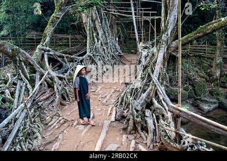 Ein Mädchen aus dem khasi-Stamm in traditioneller Kleidung, trägt einen traditionellen Regenschutz aus Bambus, steht auf einer lebenden Wurzelbrücke, Meghalaya, Indien Stockfoto