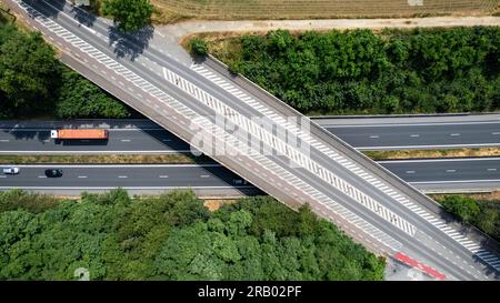 Diese atemberaubende Luftaufnahme zeigt die organisierte Schönheit einer belgischen Autobahn an einem hellen Sommertag. Die Straße mit ihrer eindrucksvollen Brücke führt durch riesige Flächen üppiger Wälder und Felder und schafft eine malerische Mischung aus Natur und Infrastruktur. Luftaufnahme: Sonniger Sommertag über belgischem Highway und umliegendem Grün. Hochwertiges Foto Stockfoto