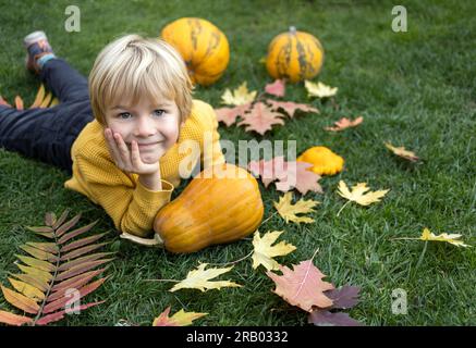 Unter den gefallenen bunten Blättern und Kürbissen auf dem Gras liegt ein süßer Junge. Helle Herbststimmung der Freude. Glückliche Kindheit Stockfoto