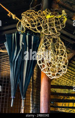 Handgefertigte Seiltasche und ein Paar Regenschirme, die in einem Schlammhaus hängen. Landdorf in Uttarakhand, Indien. Stockfoto