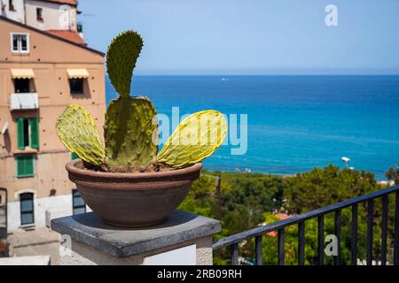Türkisfarbenes Tyrrhenisches Meer vom Aussichtspunkt der wunderschönen italienischen Stadt Tropea, Kalabrien, Italien Stockfoto
