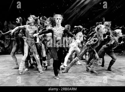 Front, l-r: Bonnie Langford (Rumpleteazer), Sarah Brightman (Jemima), Wayne Sleep (Quaxo/Mr Mistoffolees), Susan Jane Tanner (Jellylorum/Griddlebone) in CATS im New London Theatre, London 11/05/1981 basierend auf T. S. Eliots „Old Possum's Book of Practical Cats: Andreloyw Webposer: Andrew Weblighting: David Hersey Choreographie: Gillian Lynne Regisseur Trevor Nunn Stockfoto