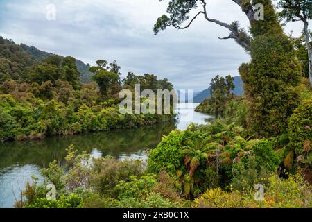 Moeraki Fluss und See an der Westküste der Südinsel Neuseelands Stockfoto
