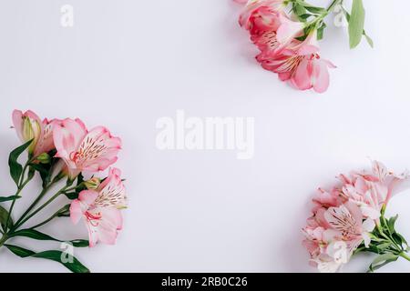 Wunderschöne rosa Alstroemeria-Blumen auf weißem Hintergrund. Draufsicht, flach liegend, Kopierbereich. Stockfoto