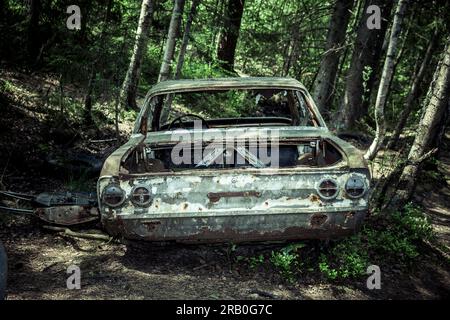 Oldtimer auf einem Autofriedhof in einem Wald Stockfoto