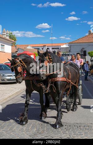 Europa, Portugal, Alentejo Region, Golega, Pferdekutschfahrt mit Touristen entlang der Rua Largo 25 de Abril Stockfoto