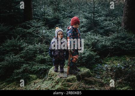 Bruder und Schwester im Wald Stockfoto