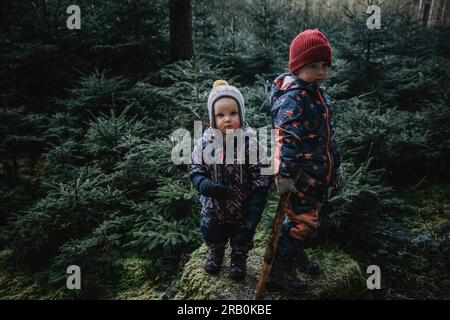 Bruder und Schwester im Wald Stockfoto